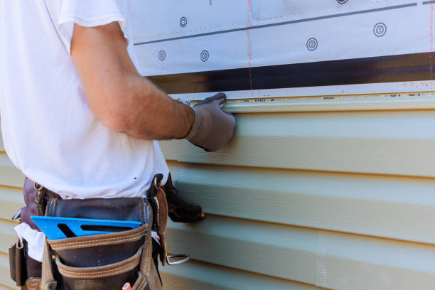 Affordable Siding Repair and Maintenance Services in Ozark, AR